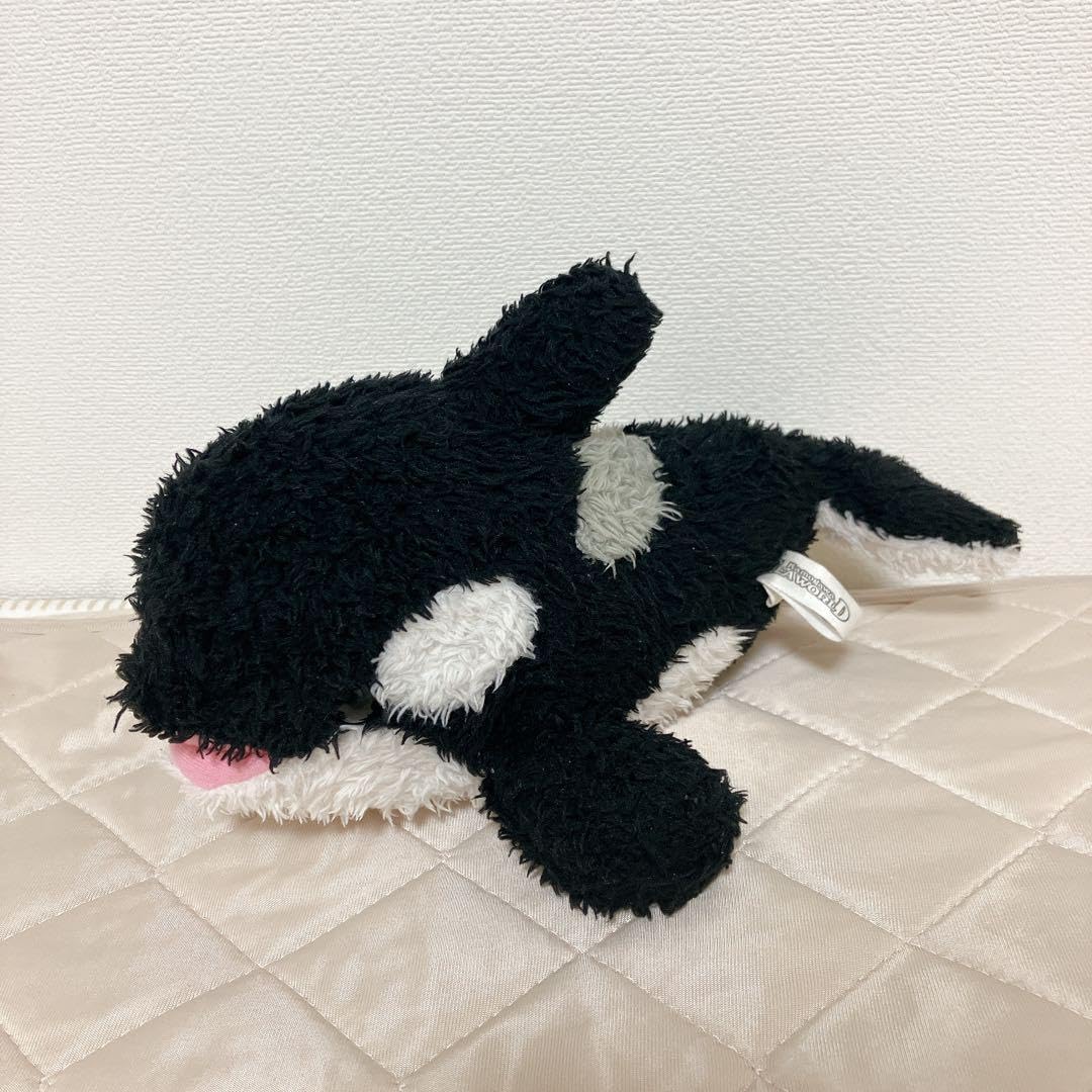 鴨川シーワールド　シャチ　ぬいぐるみセット　3L 鴨川シーワールド シャチ ぬいぐるみセット 3L 鴨川シーワールド